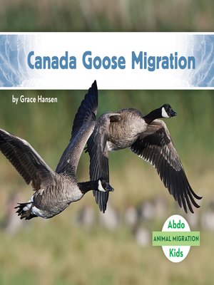 cover image of Canada Goose Migration